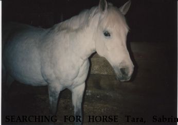 SEARCHING FOR HORSE Tara, Sabrina REWARD OFFERED Near Putnam Valley, NY, 10579